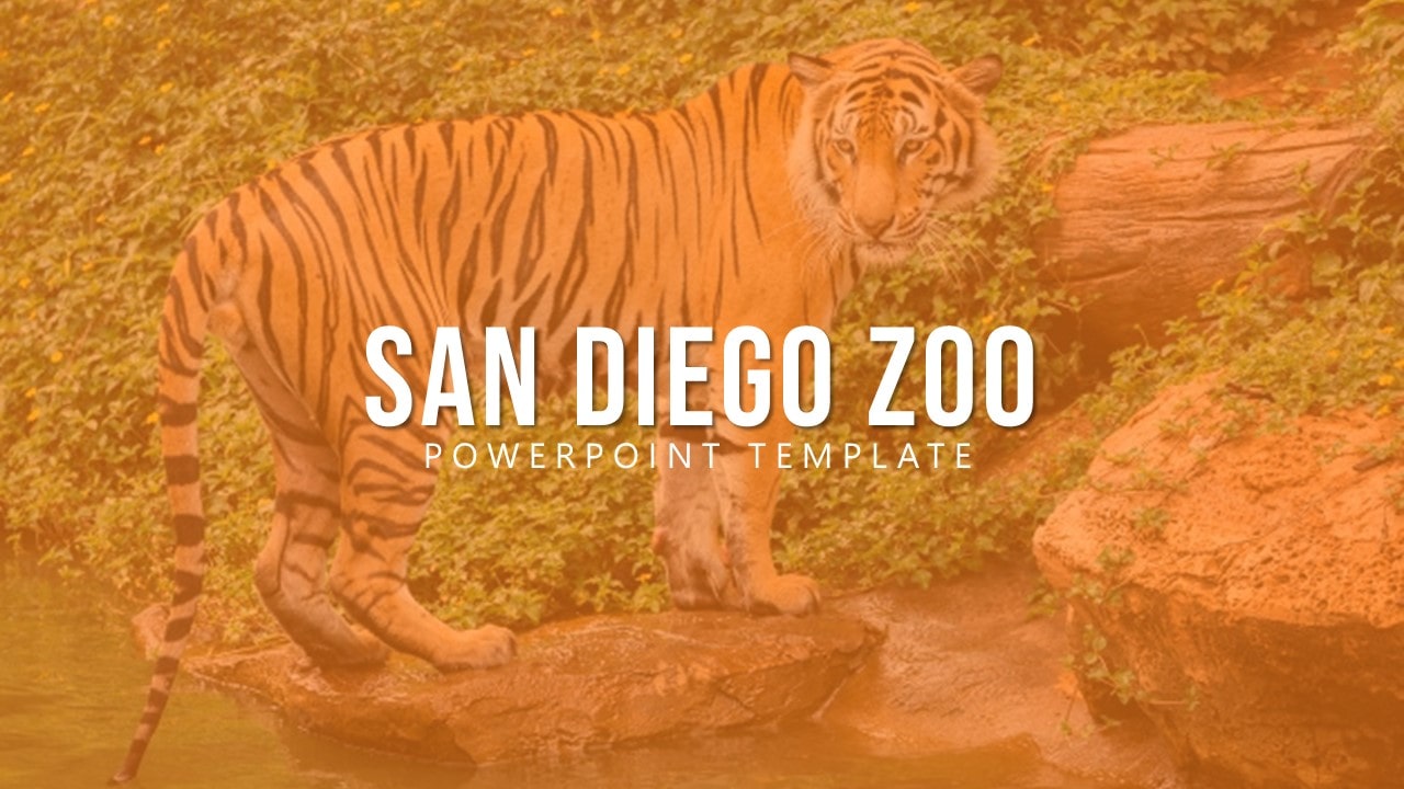 Free Zoo Animal PowerPoint Template | PPT & Keynote Templates