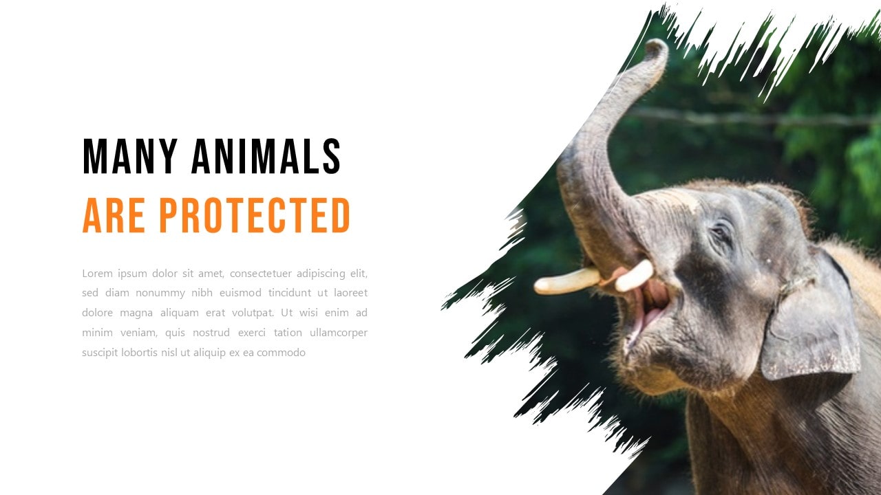 Free Zoo Animal PowerPoint Template