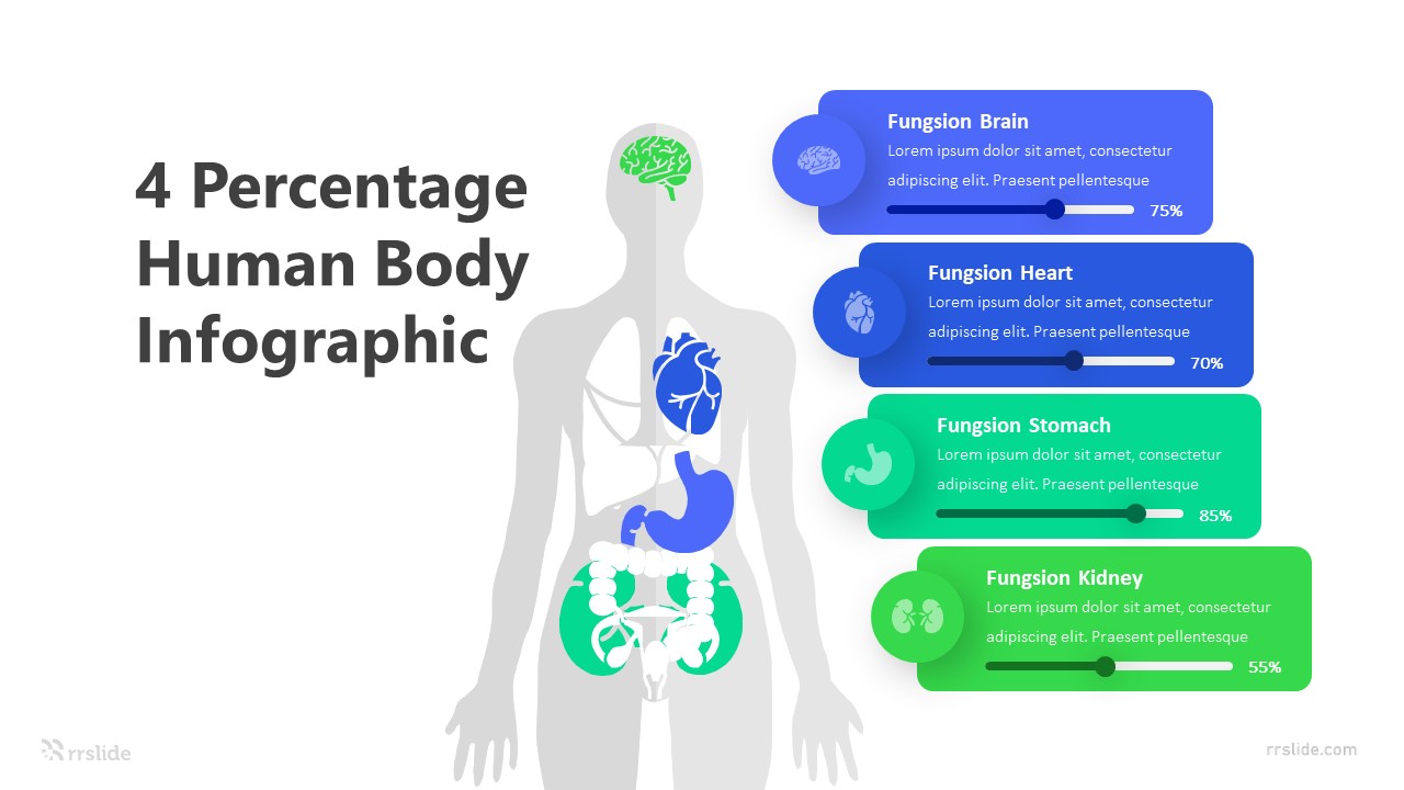 4 Percentage Human Body Infograpic Template