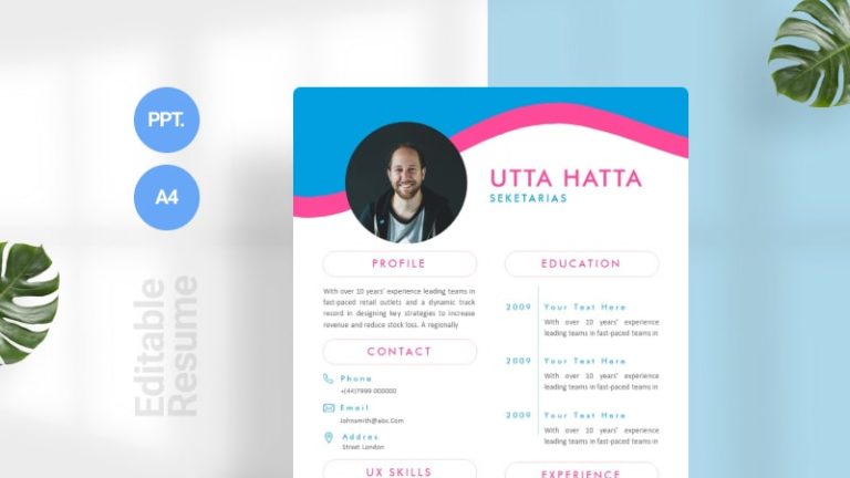 Blue and Pink CV Template