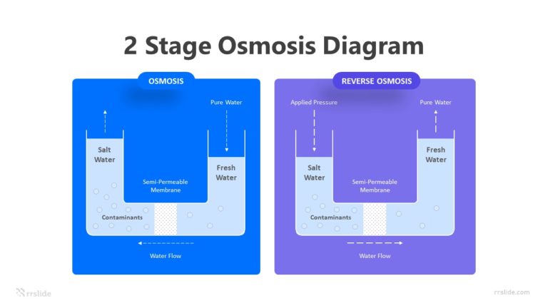 2 Stage Osmosis Diagram Infographic Template