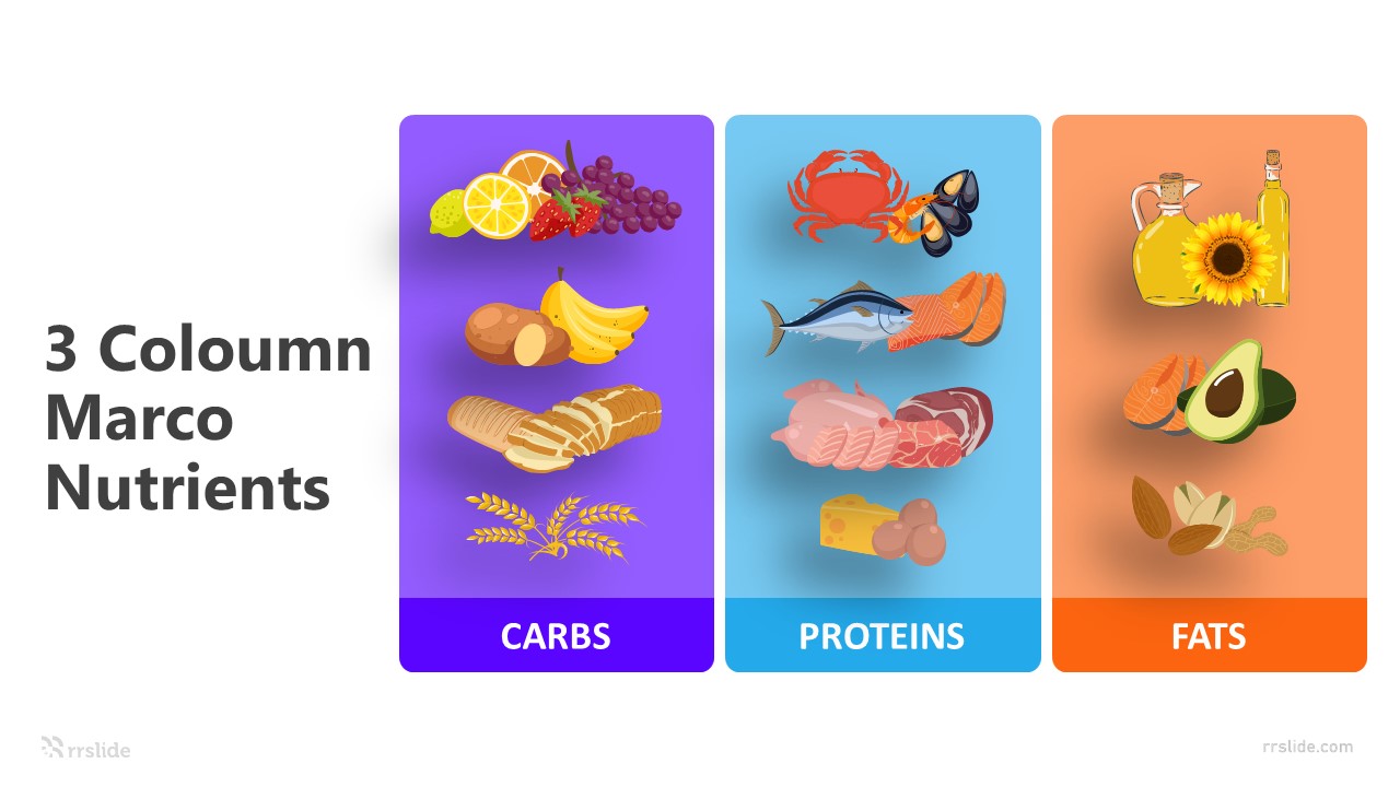 3 Coloumn Marco Nutrients Infographic Template