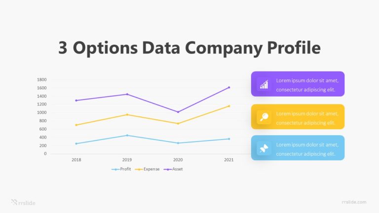 3 Options Company Profile Infographic Template