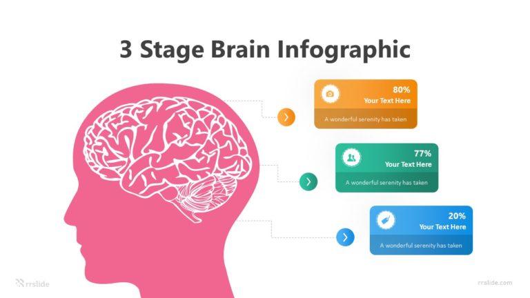 3 Stage Brain Infographic Template