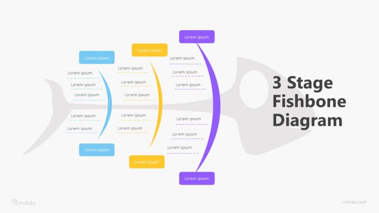 3 Stage Fishbone Diagram Infographic Template