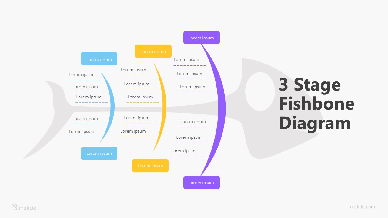 3 Stage Fishbone Diagram Infographic Template