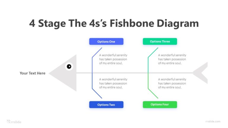 4 Stage The 4s’s Fishbone Diagram Infographic Template