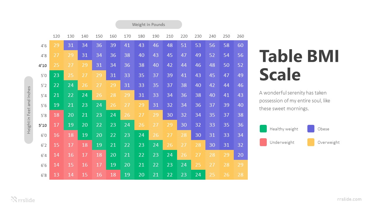 4 Table BMI Scale Infographic Template