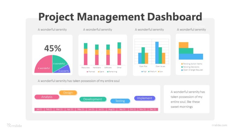 5 Project Management Dashboard Infographic Template