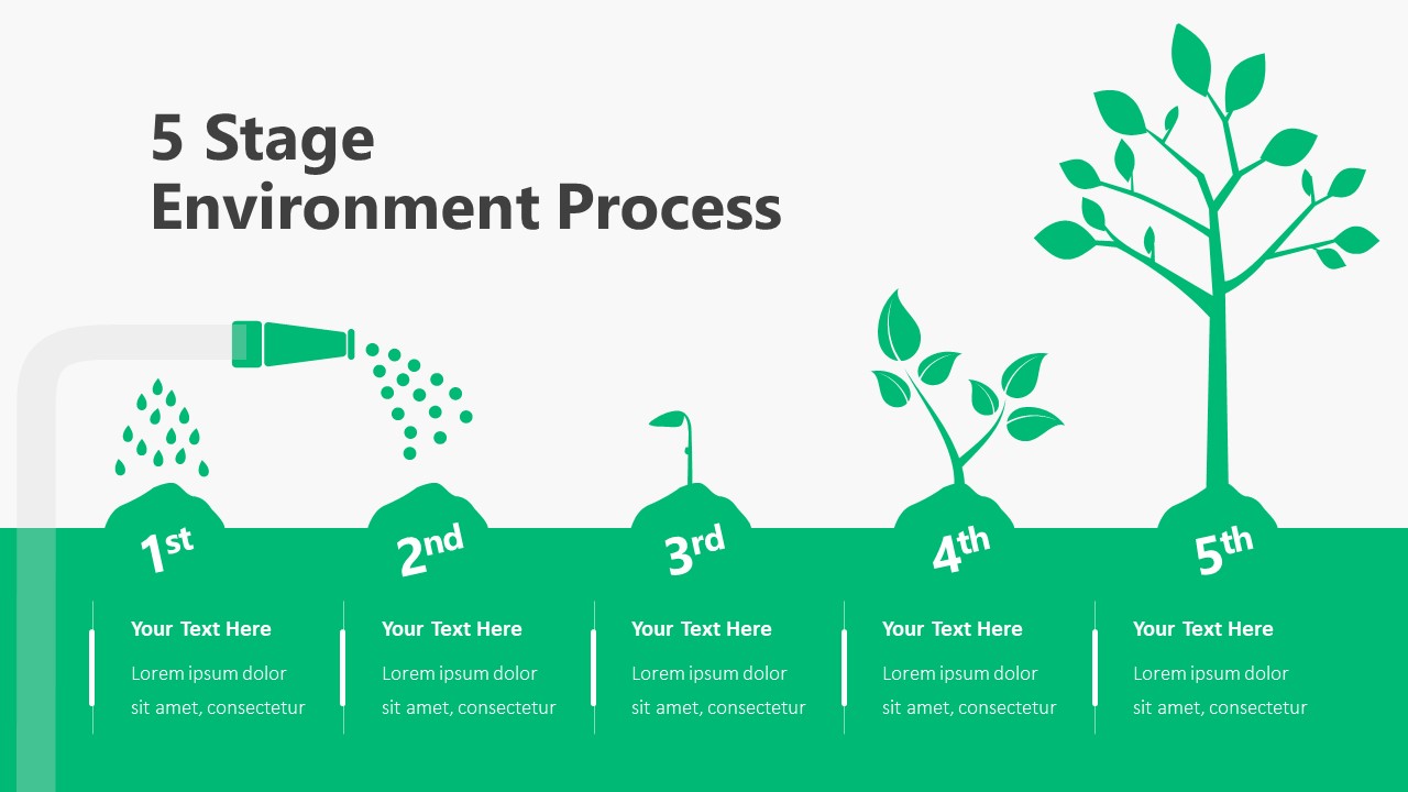 5 Stage Environment Template Infographic Template