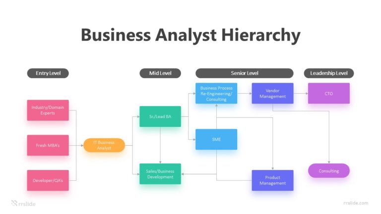6 Business Analyst Hierarchy Infographic Template