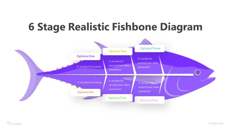 6 Stage Realistic Fishbone Diagram Infographic Template