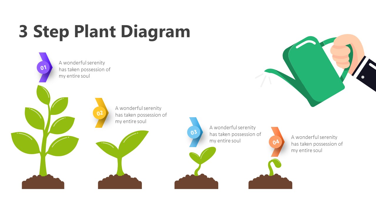 3 Step Plant Diagram Infographic Template