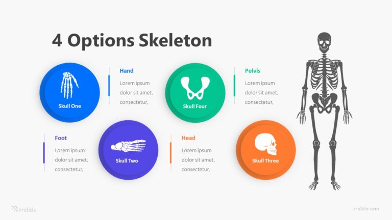4 Options Skeleton Infographic Template