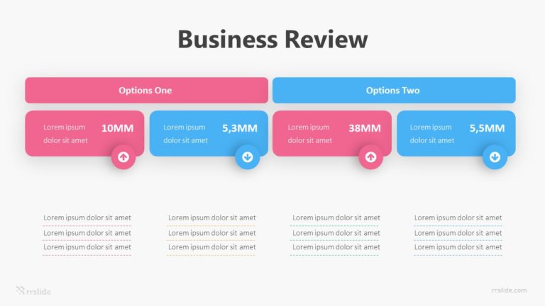 Business Review Infographic Template
