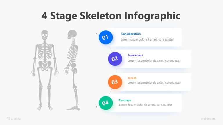 4 Stage Skeleton Infographic Template