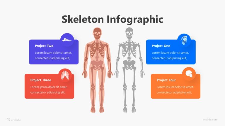 Skeleton Infographic Template