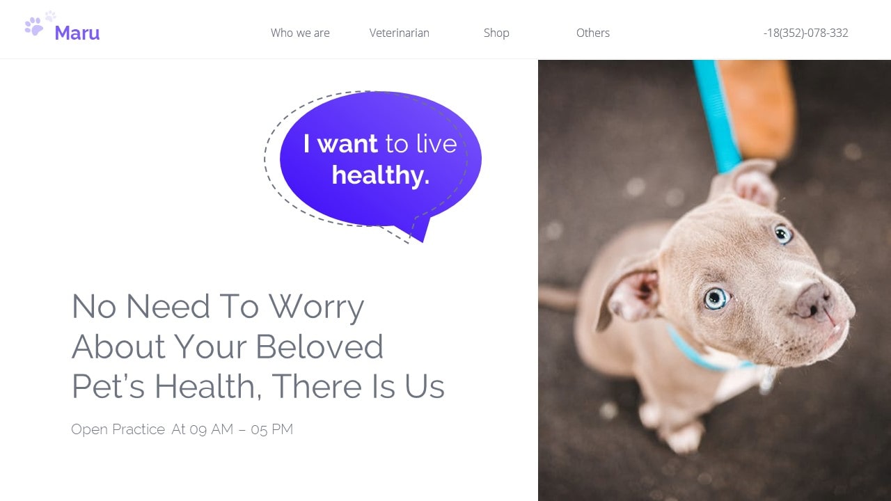 Maru Pet Health PowerPoint Templates