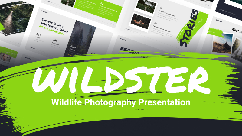 Wildster Photography PowerPoint Template