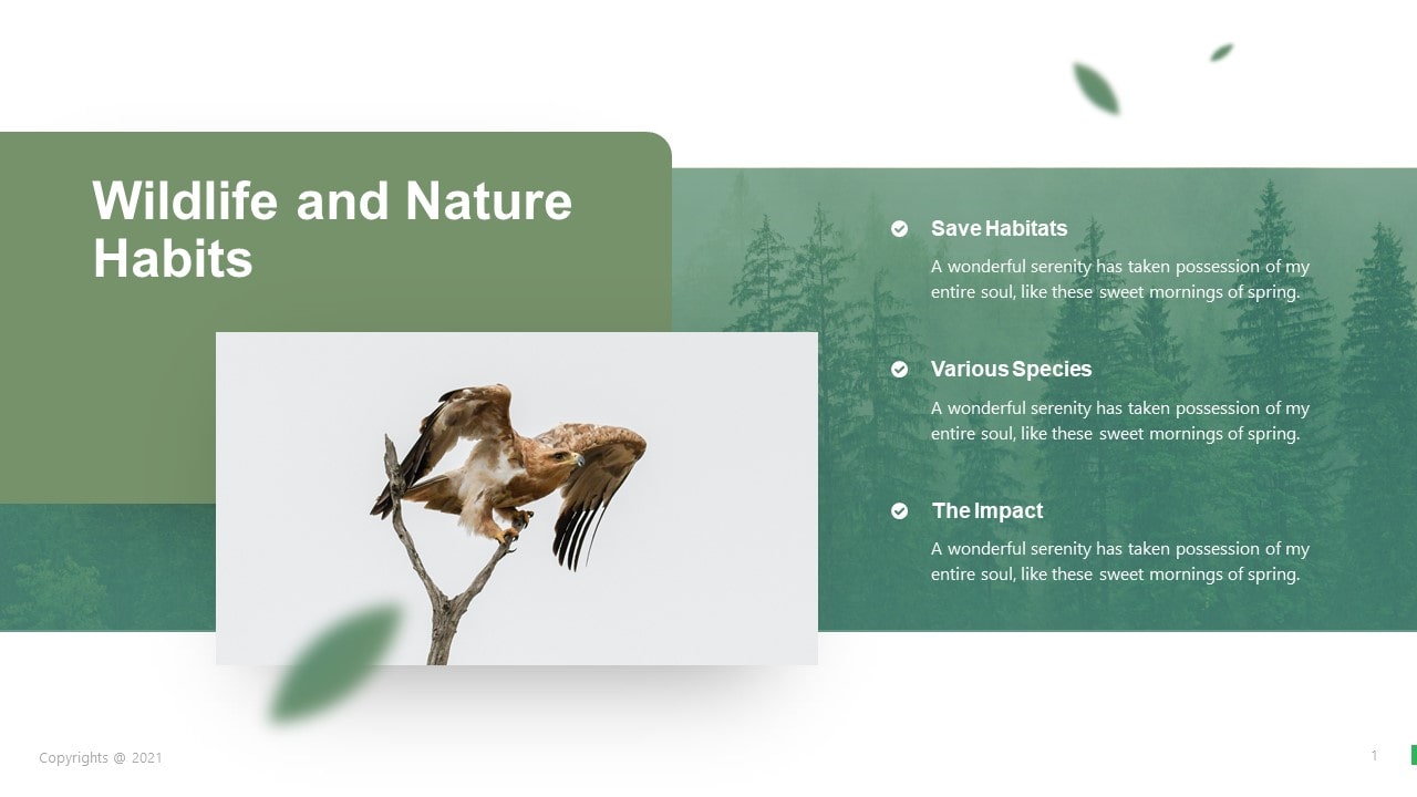 Wildlife Nature PowerPoint Template
