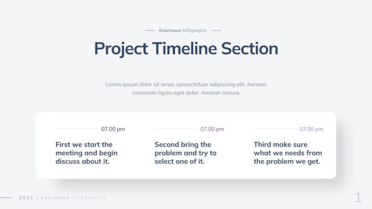 Project Timeline Infographic - 2022